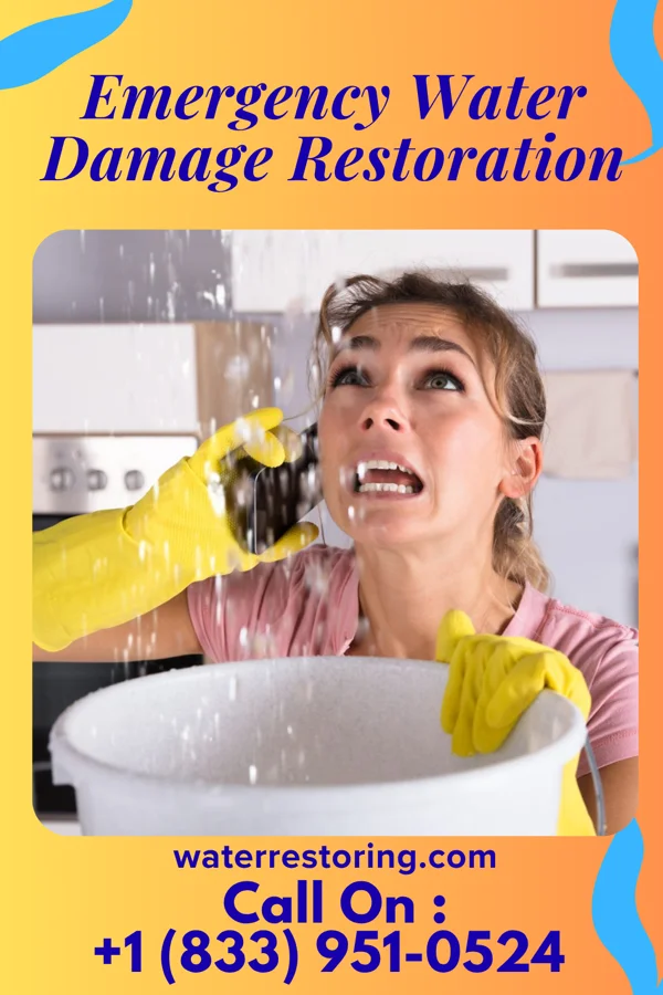 Emergency Water Damage Restoration in Genesee, ID