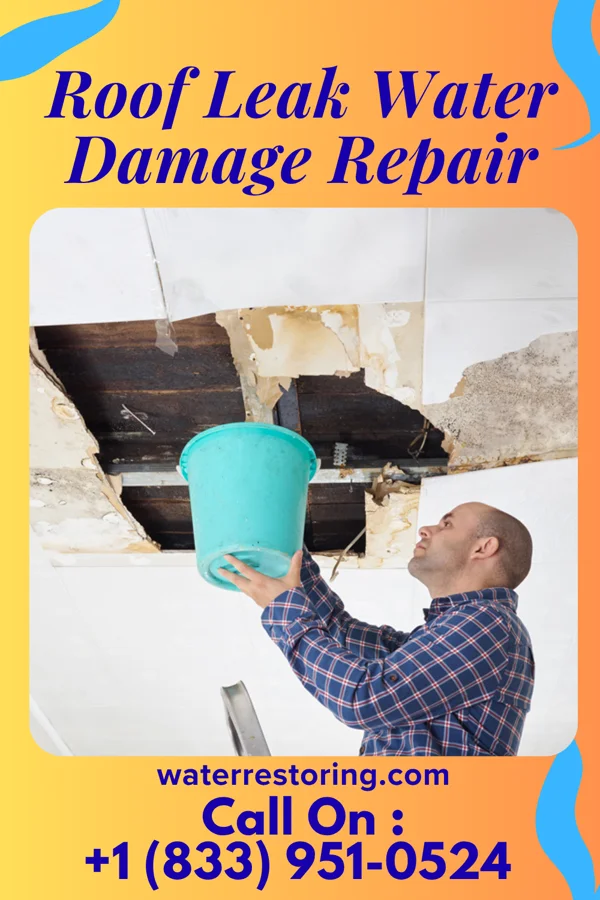 Roof Leak Water Damage Repair in Genesee, ID
